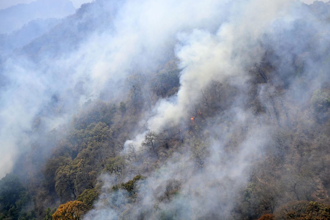 Za celotno državo razglašena velika požarna ogroženost