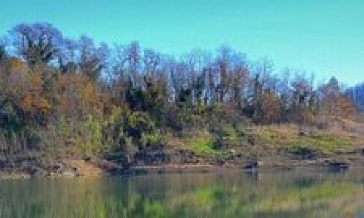 Uporabnikom Vogrščka letos ne bo treba plačati nadomestila