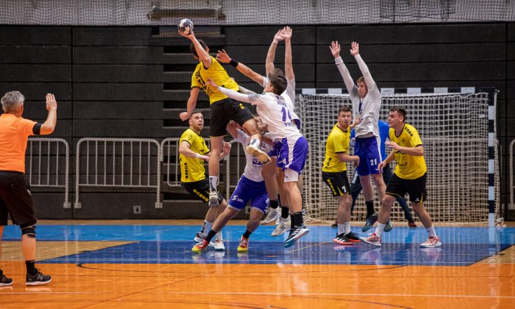 Trimo Trebnje - Maribor Branik 30:22