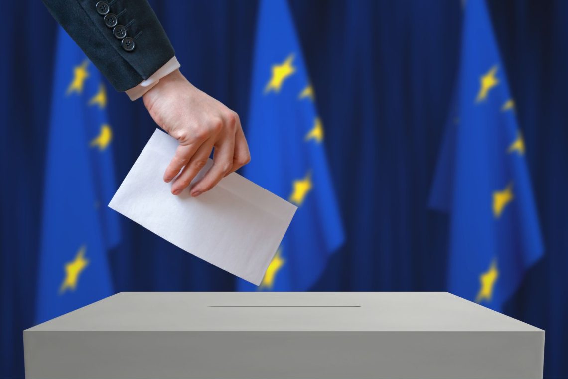 Pirati se na zavrnitev ne bodo pritožili