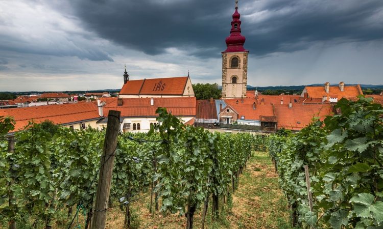 Ptujska občina do polletja realizirala okoli 40 odstotkov načrtovanega proračuna