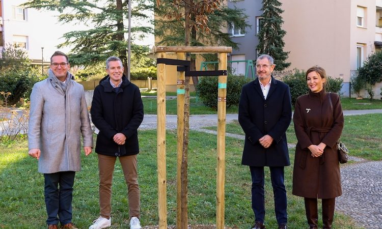 Posadili 60 novih dreves za 60 let Krajevne skupnosti Nova Gorica