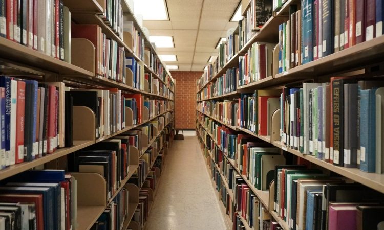 Kočevska občina v prenovo objekta stare mestne knjižnice