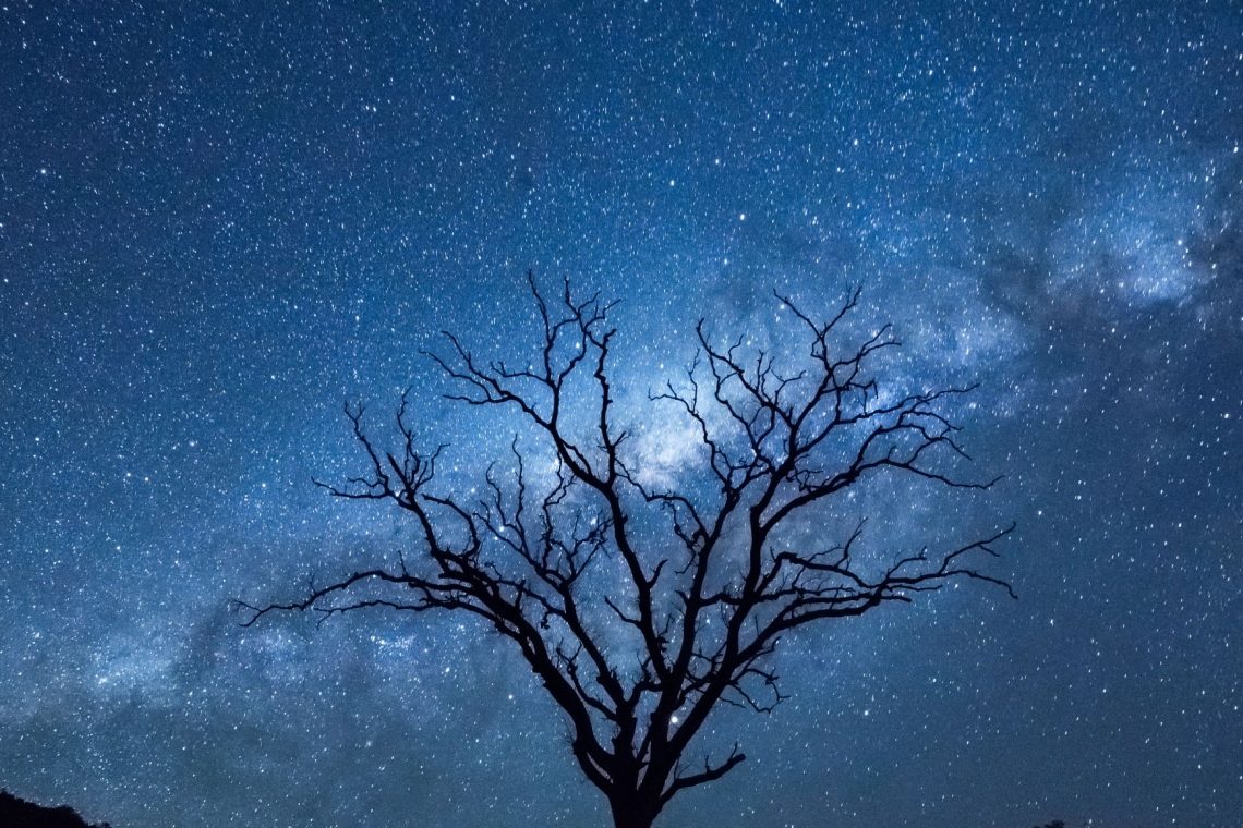 To so astrološka znamenja, ki naravno privabljajo bogastvo