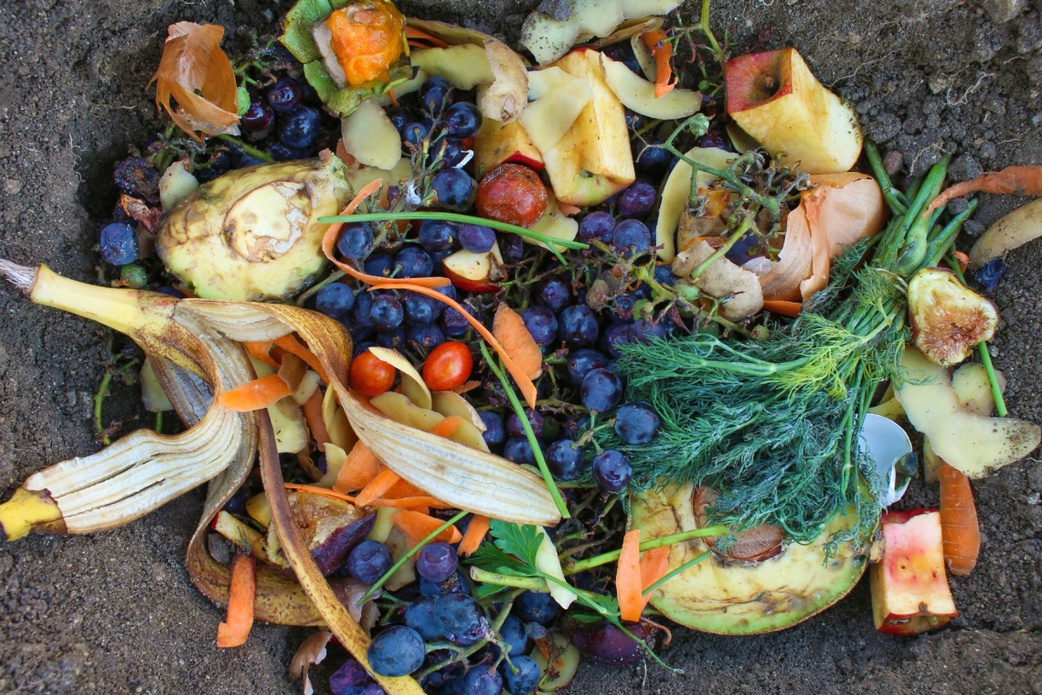 Slovenska gospodinjstva tedensko zavržejo več ton hrane, skoraj polovico še užitne